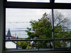 ポリープ君 - 蔵くら日記